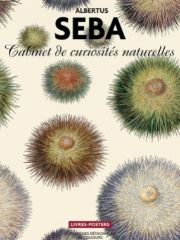 Albertus Seba